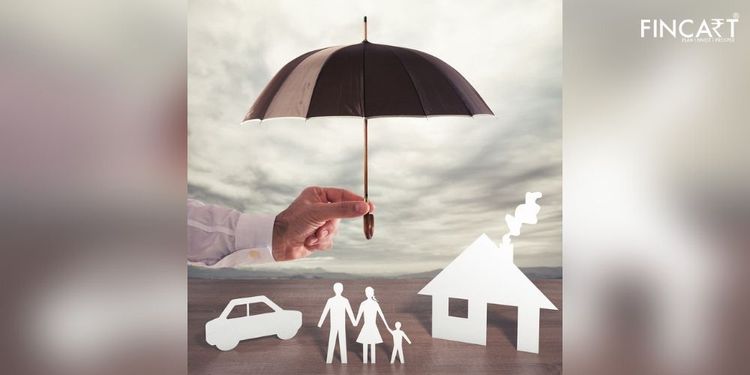 Read more about the article This is How You Can Secure Your Family!