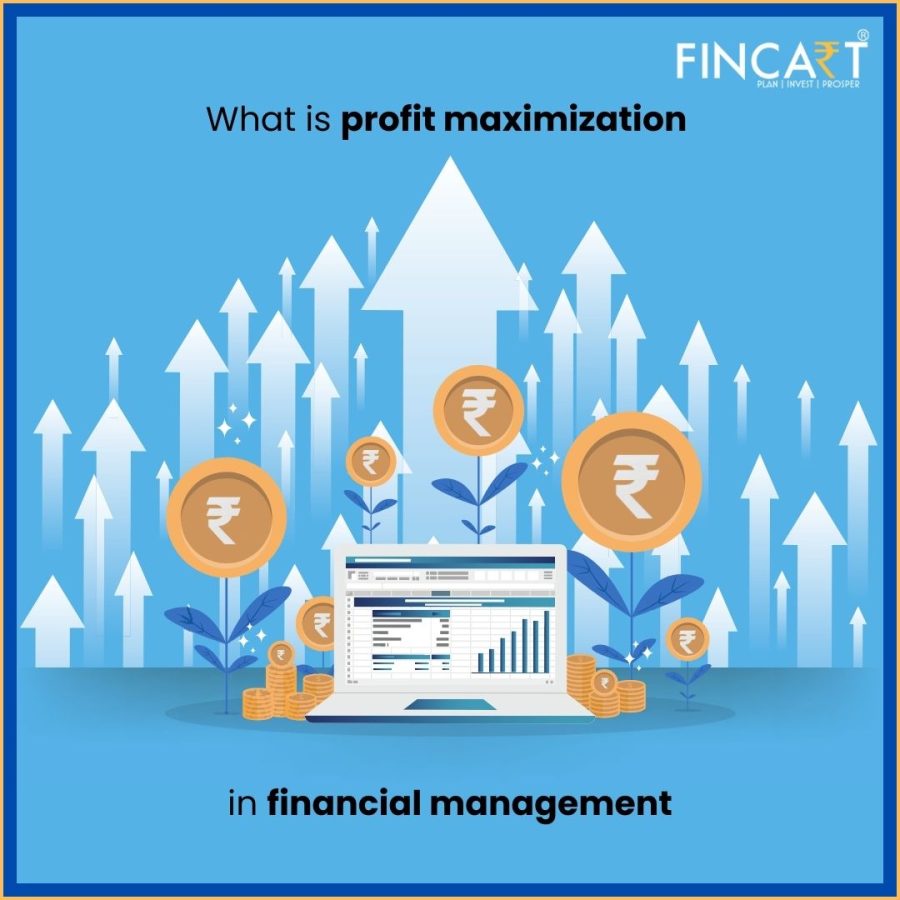 You are currently viewing Profit Maximisation in Financial Management